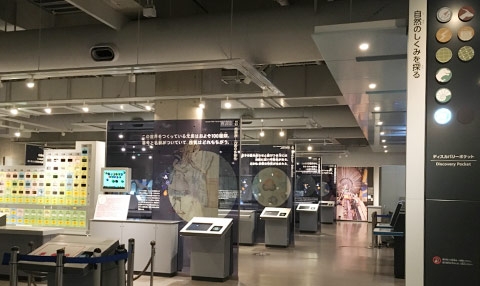 Global Gallery (B3F) at the National Museum of Nature and Science