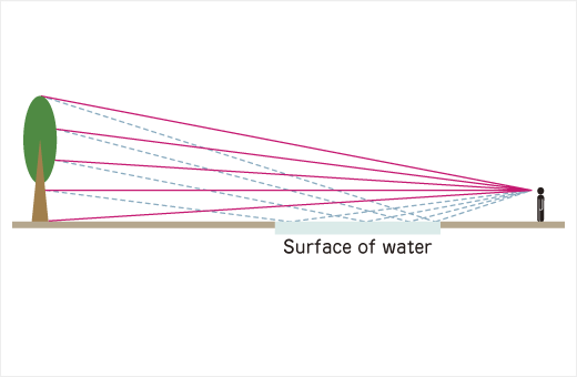 How a landscape appears on the surface of water
