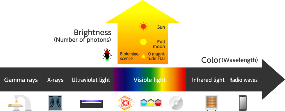 State of light