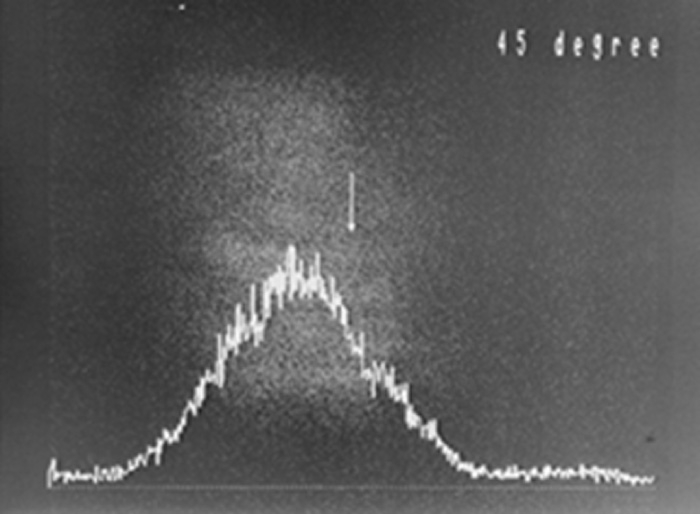 Figure E-4: When the analyzer is tilted diagonally 45° to the right. No interference fringes appear.