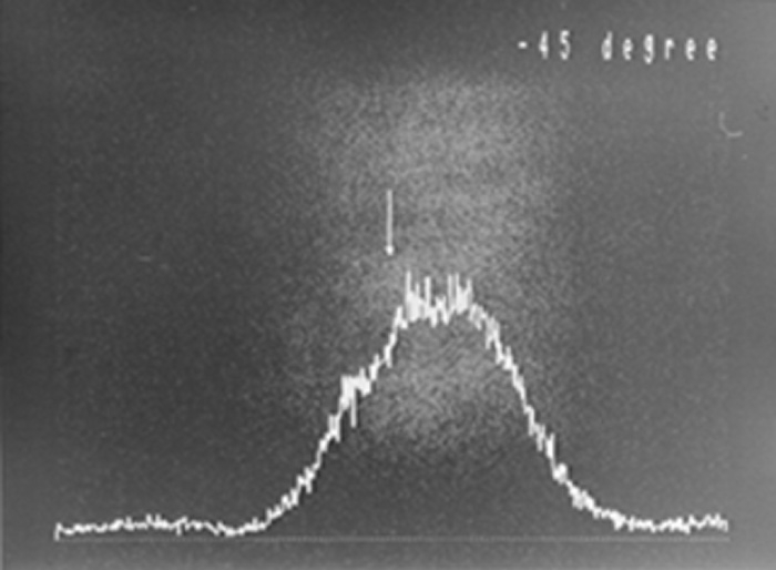 Figure E-5: When the analyzer is tilted diagonally 45° to the left. No interference fringes appear.