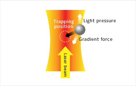 Optical tweezers