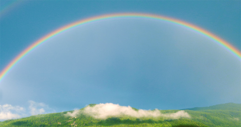 雨上がりの空に浮かぶ虹
